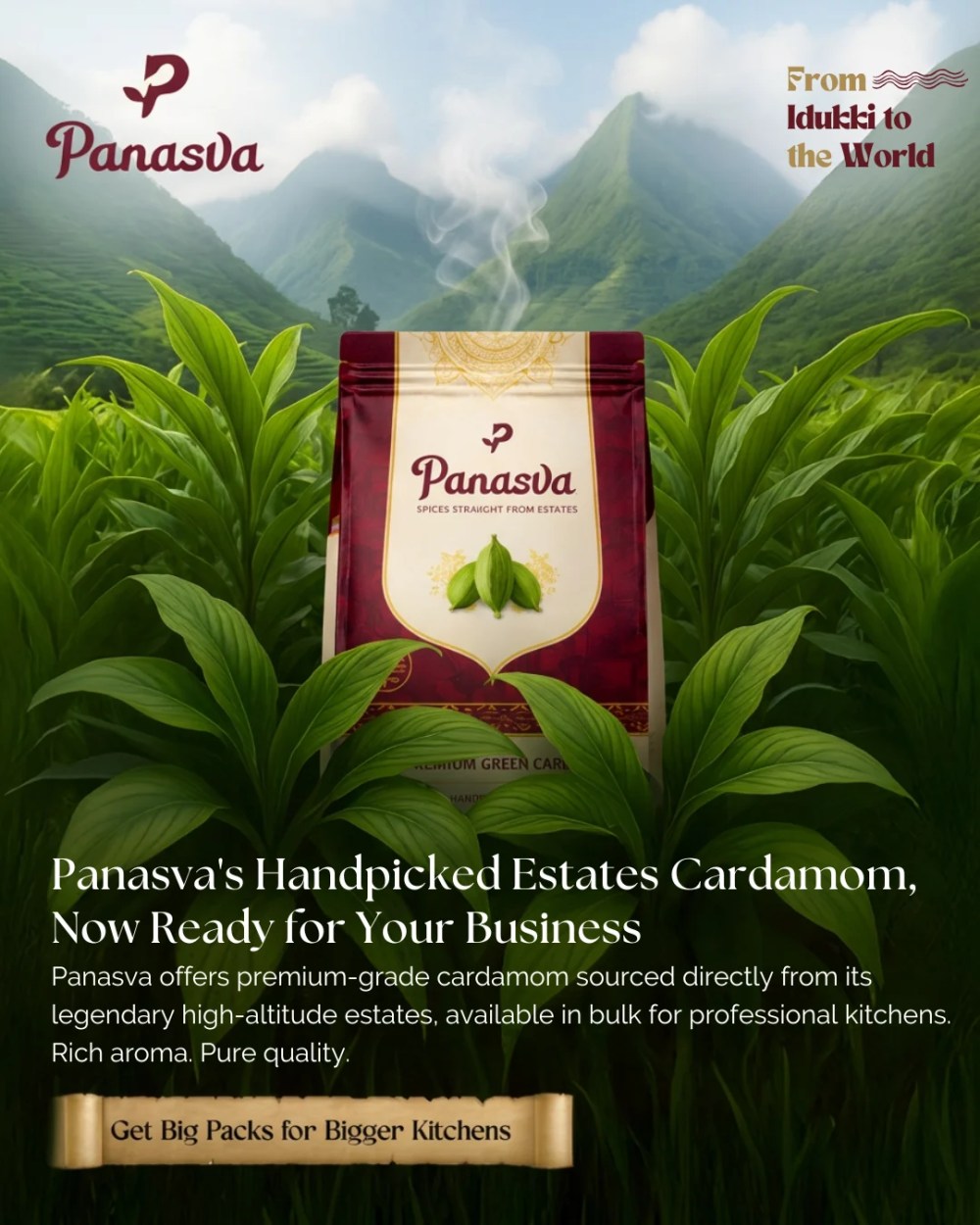 Panasva on Instagram
